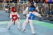 Combatirán en Irapuato los mejores taekwondistas