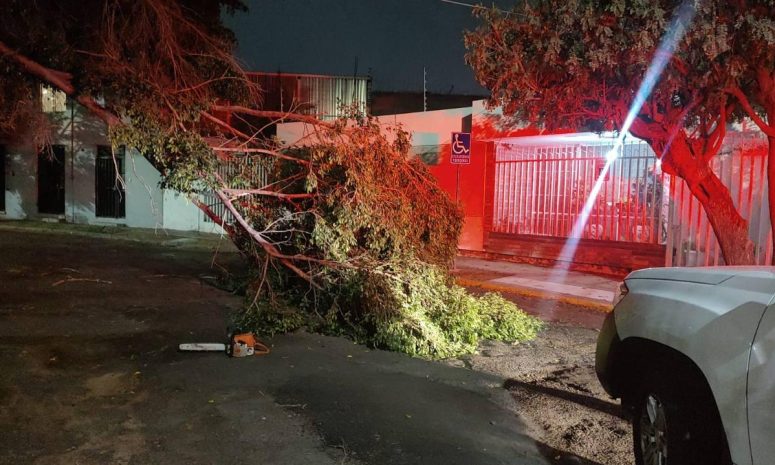 Atendió Protección Civil de León 4 reportes por lluvias