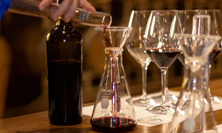 Ganan vinos de Guanajuato premios en los Decanter World Wine Awards