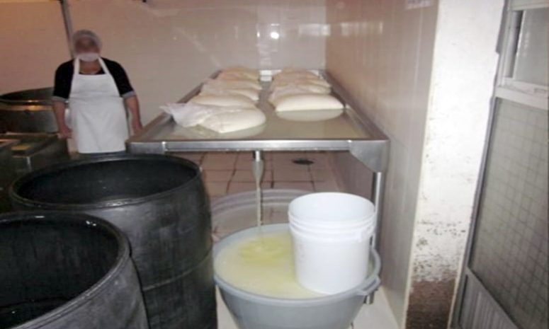 Destruyeron 18 kg de queso fuera de norma sanitaria en 5 municipios