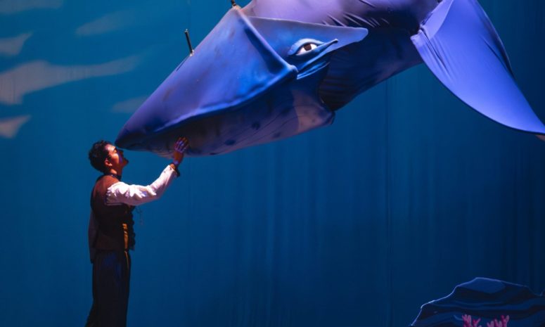 Presentan proyectos del Encuentro Estatal de Teatro en Guanajuato