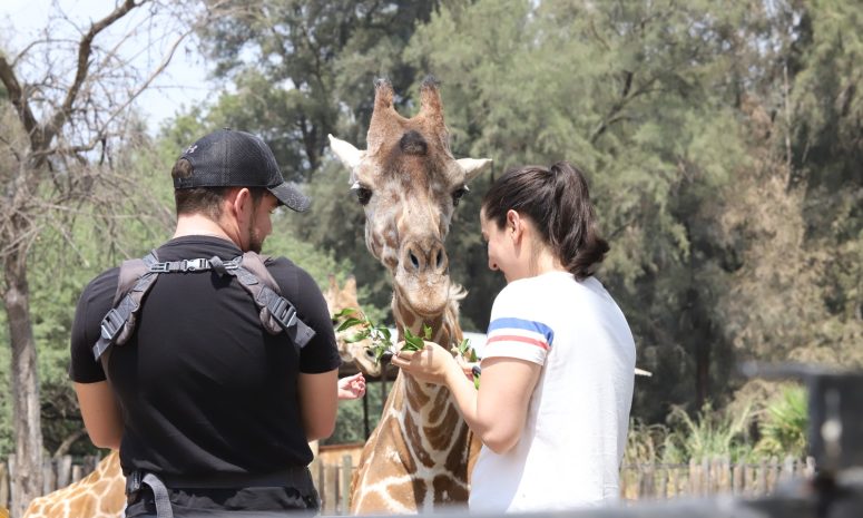 Invitan a los domingos de verano en el Zoológico de León