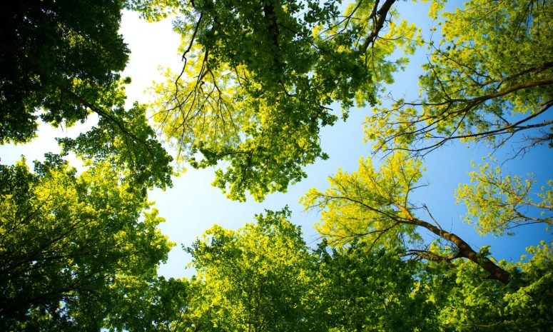 León, en el top nacional de planeación ambiental