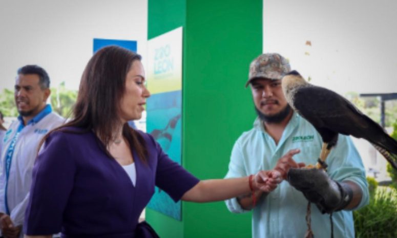 En León trabajan para lograr tener el mejor zoológico del país