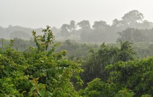 Lluvias Guanajuato