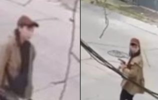 Vecinos alertan por nuevas muertes de gatos en Lomas de Gran Jardín