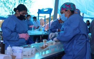Esterilización, Purísima del Rincón, mascotas