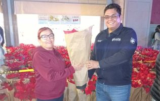 florece, león, nochebuenas