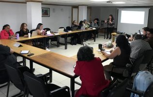 docentes, guanajuato, seg