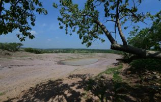 Refuerzan infraestructura rural con obras de bordería en comunidades de Irapuato