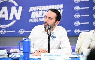 PAN, PROCESOS INTERNOS