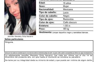 Alerta AMBAR,, buscador