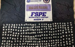 Fuerzas de Seguridad Pública