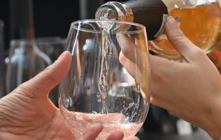 medallas, Guanajuato Vino