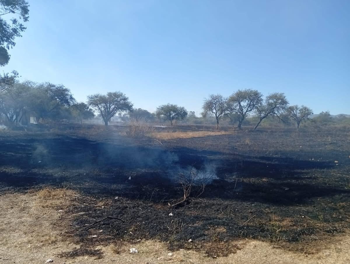 bomberos, fuego, cachorros, Guanajuato Capital