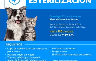 campaña, esterilización