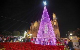 Nacimiento, León, Navidad