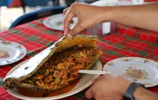 nopales, valtierrilla