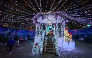 Valle de Santiago, festejos, Navidad