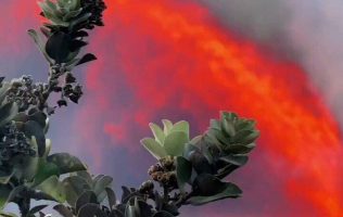 Volcán, erupción, Hawái