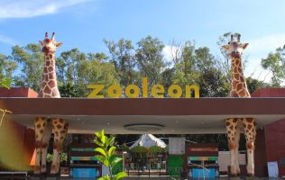 Zoológico de León, inversión, León, Ale Gutiérrez
