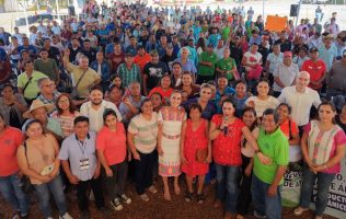 Impulsará Sheinbaum producción de jamaica en Guerrero a través de Alimentación para el Bienestar
