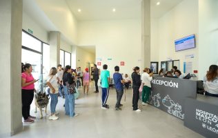 Hospital de Mascotas León 450 suma más de 28 mil servicios a seis meses de su apertura
