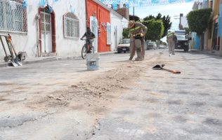 Bache, SAPAF
