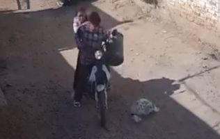 Difunden video de abandono de un gato dentro de un costal en la colonia Nuevo Amanecer