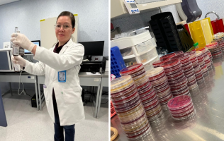 Fortalece Hospital General de León diagnósticos con área de Microbiología