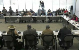 Congreso Morena, Leyes