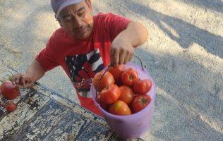 DIF Municipal, San Luis de la Paz, jitomate, donativo alimentario