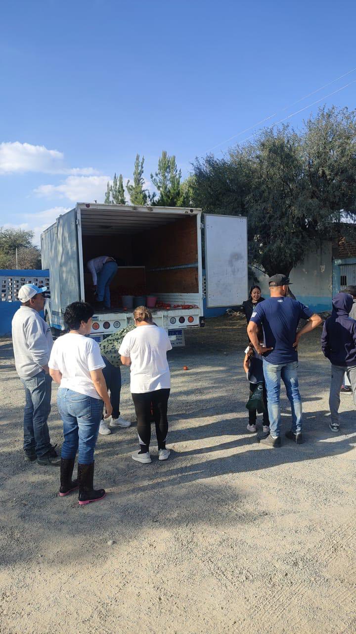Donativo alimentario, jitomate, DIF Municipal