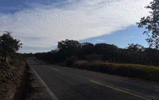 Heladas en Guanajuato