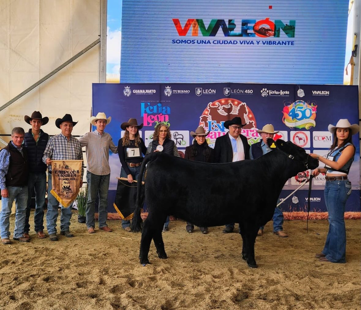Expo ganadera
