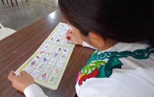 lenguas indigenas