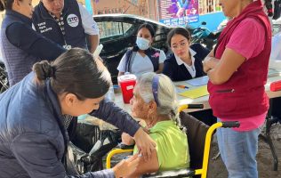Casos de influenza en Guanajuato