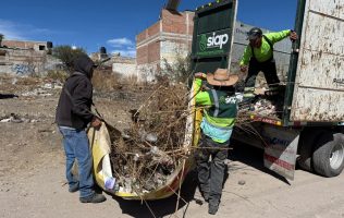 SIAP limpia predios de Rizos de Las Joyas