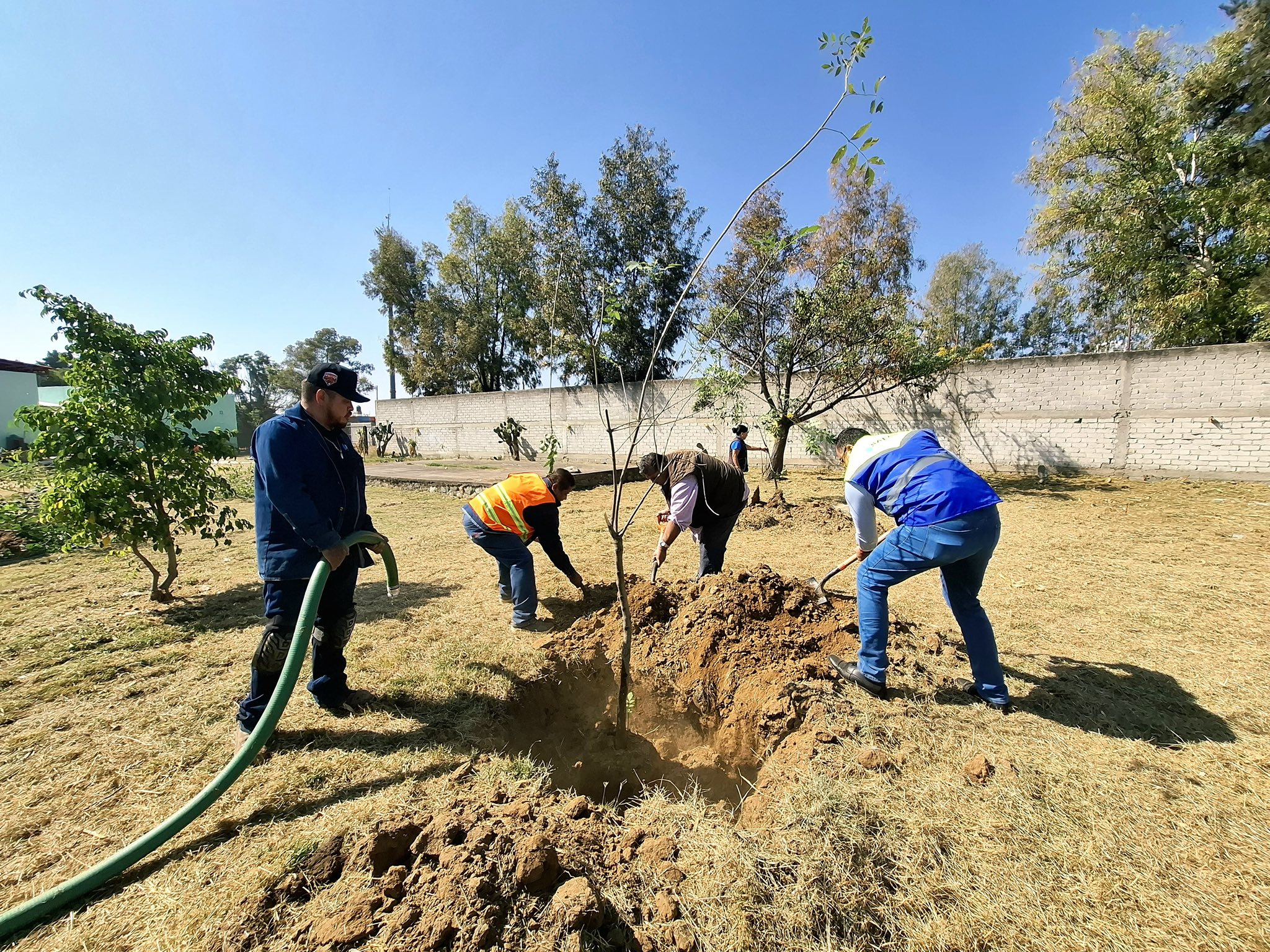 SAPAS REFORESTACIÓN
