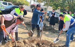 SAPAS, reforestación