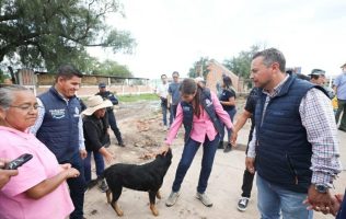 seres sintientes, Guanajuato