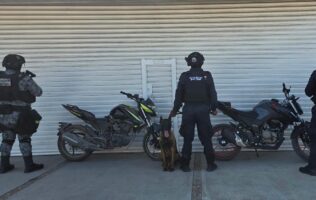 Los policías aseguraron motocicletas con alteraciones en números de identificación.