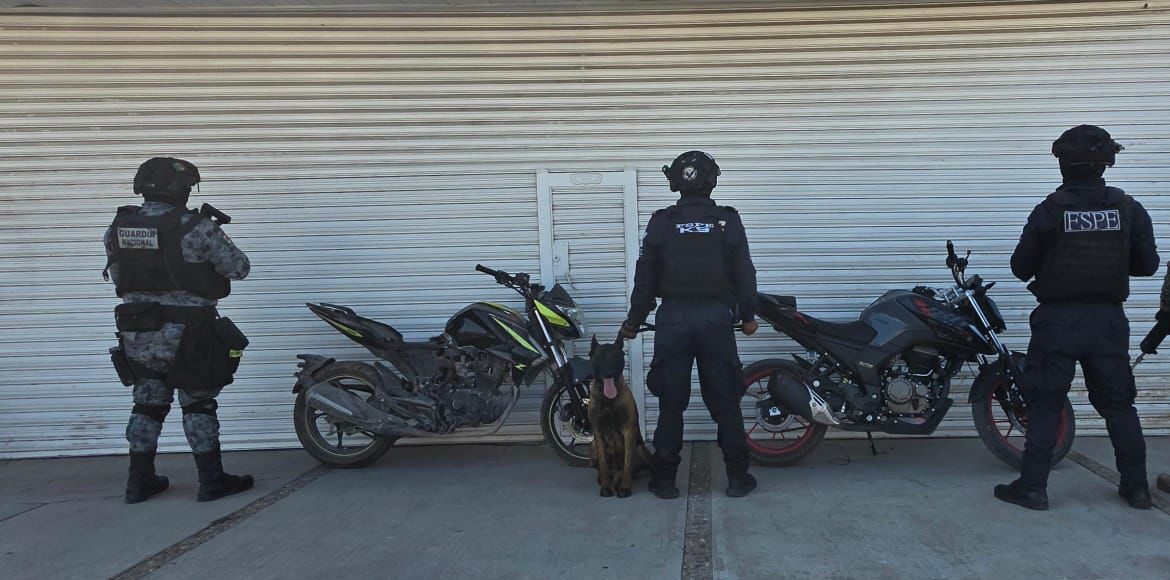 Detienen a dos con arma y droga en Celaya - Quadratin Bajío