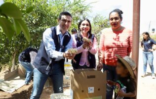 Entrega DIF Estatal aves de traspatio a familias de Dolores Hidalgo