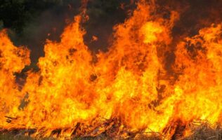 Registra Michoacán 89 incendios forestales activos