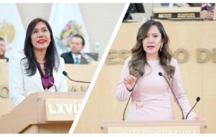 violencia vicaria