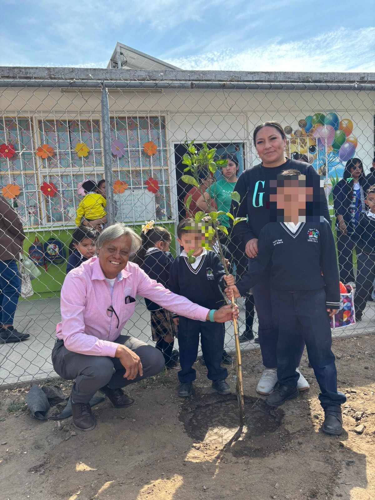 árboles de Lima en Silao