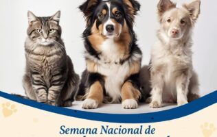 Campaña antirrábica