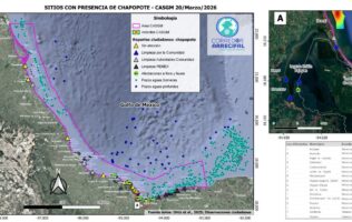 Se extiende derrame petrolero a 630 km de costa en Veracruz