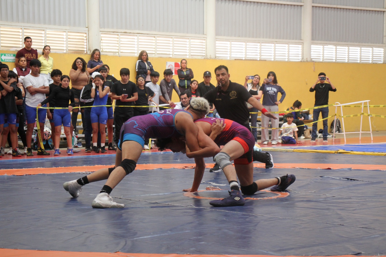 Estatal de Luchas